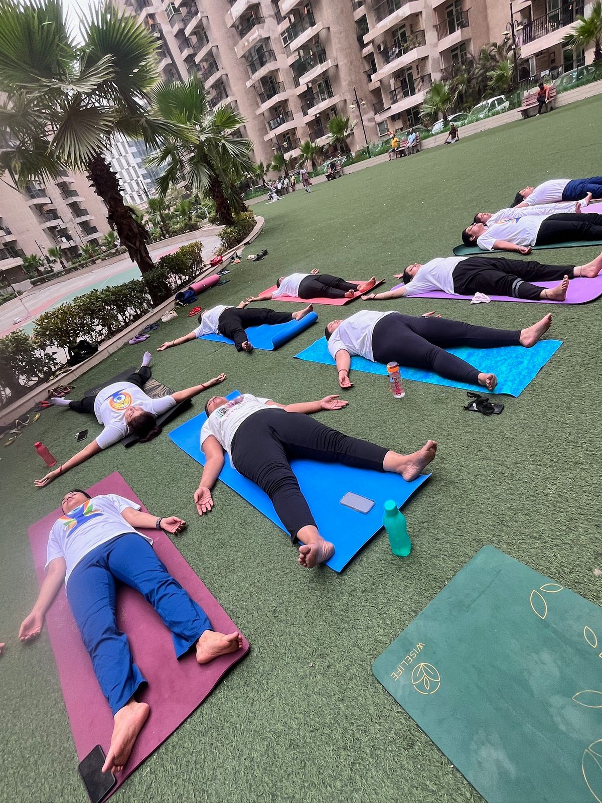 Yoga 6